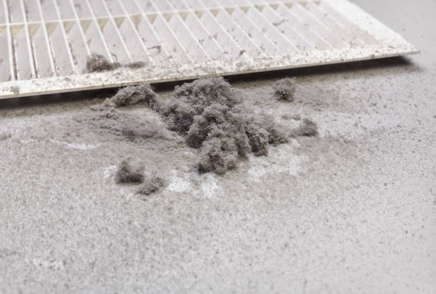 Best Local Air Duct Cleaning Services  in Hampton Bays, NY